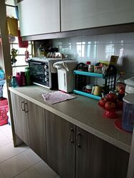 Blk 167D The Sundial (Punggol), HDB 4 Rooms #477326821